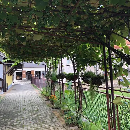 Joma * באינה באשטה