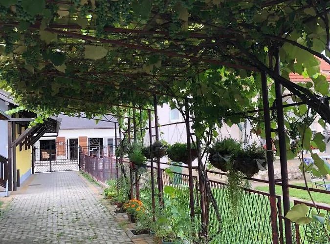 Joma * 바이나 바슈타